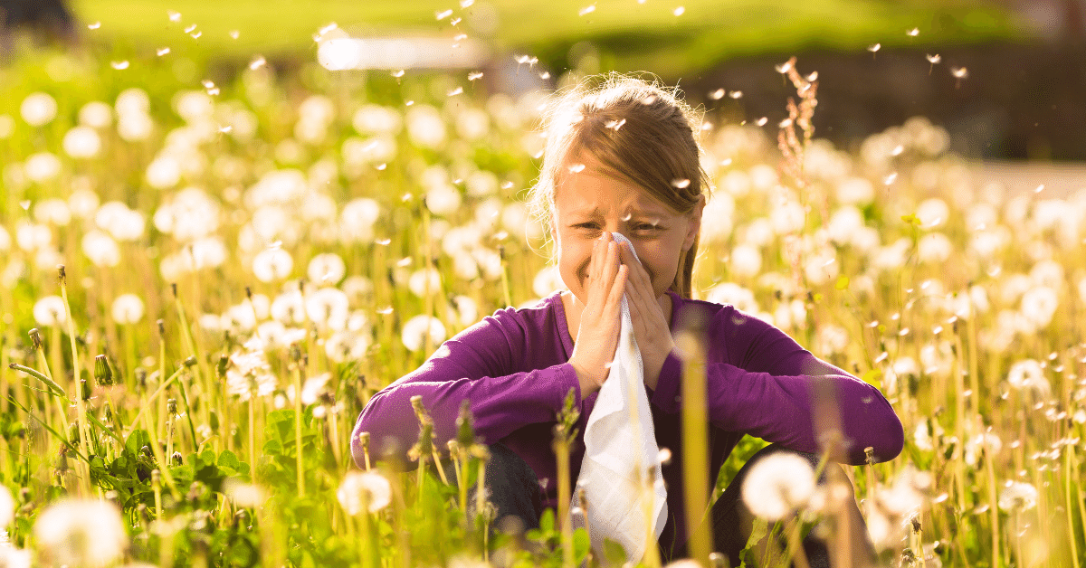 allergy solutions 6 Allergy Solutions
